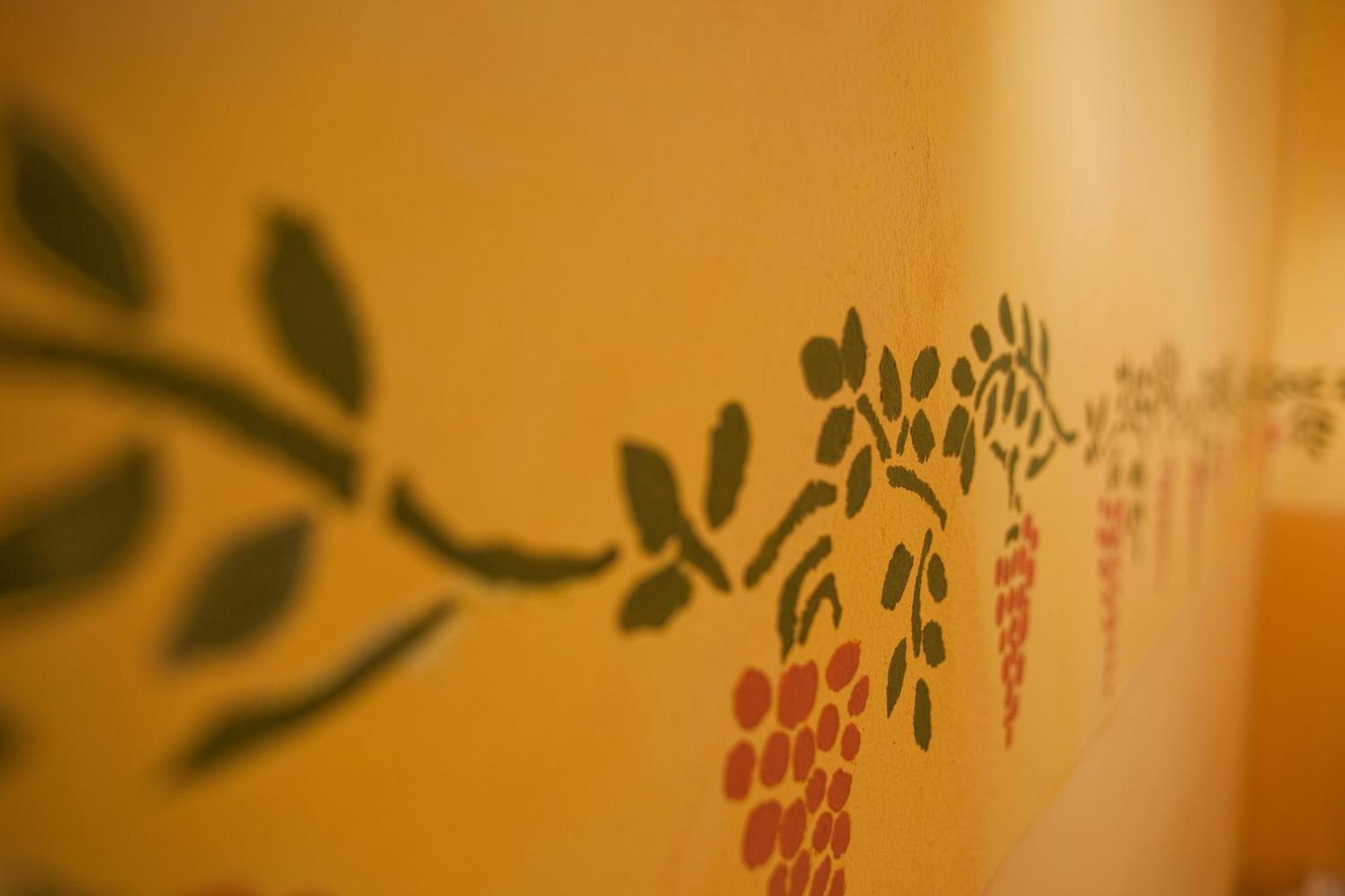 Mas Montluzia Bed & Breakfast Cascastel-des-Corbieres Bagian luar foto