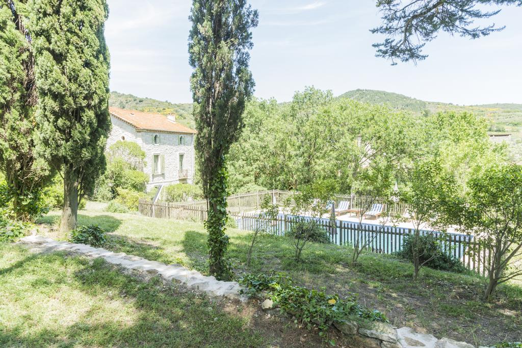Mas Montluzia Bed & Breakfast Cascastel-des-Corbieres Bagian luar foto